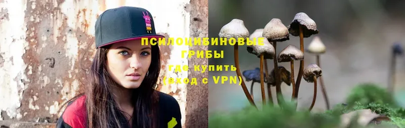 наркота  Ковров  Псилоцибиновые грибы MAGIC MUSHROOMS 